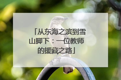 从东海之滨到雪山脚下：一位教师的援藏之路