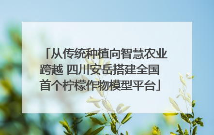 从传统种植向智慧农业跨越 四川安岳搭建全国首个柠檬作物模型平台