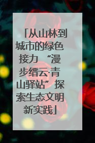 从山林到城市的绿色接力 “漫步缙云·青山驿站”探索生态文明新实践