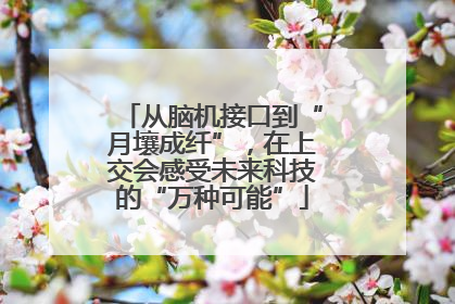 从脑机接口到“月壤成纤”，在上交会感受未来科技的“万种可能”