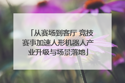 从赛场到客厅 竞技赛事加速人形机器人产业升级与场景落地