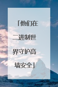 他们在二进制世界守护高墙安全