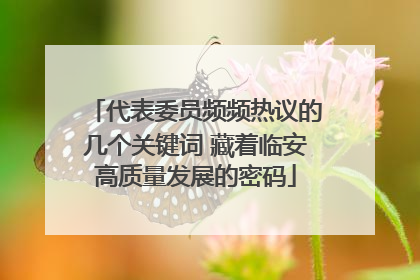 代表委员频频热议的几个关键词 藏着临安高质量发展的密码