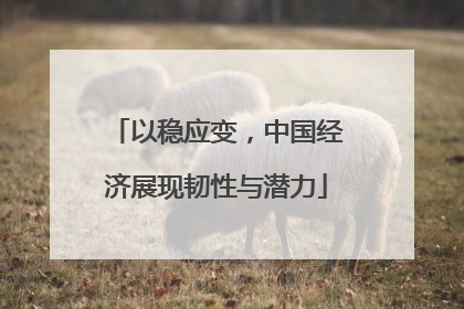 以稳应变，中国经济展现韧性与潜力