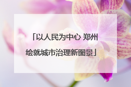 以人民为中心 郑州绘就城市治理新图景
