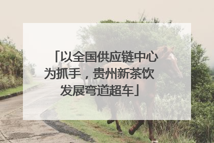 以全国供应链中心为抓手，贵州新茶饮发展弯道超车