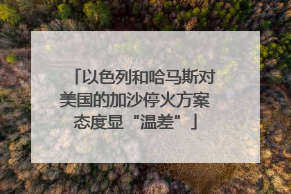 以色列和哈马斯对美国的加沙停火方案态度显“温差”