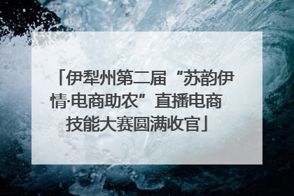 伊犁州第二届“苏韵伊情·电商助农”直播电商技能大赛圆满收官
