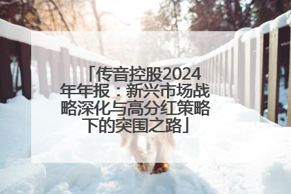 传音控股2024年年报：新兴市场战略深化与高分红策略下的突围之路
