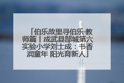 伯乐故里寻伯乐·教师篇丨成武县郜城第六实验小学刘士成：书香润童年 阳光育新人