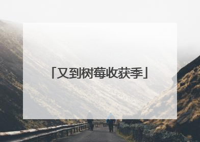 又到树莓收获季