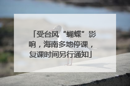 受台风“蝴蝶”影响，海南多地停课，复课时间另行通知