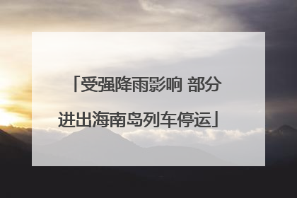 受强降雨影响 部分进出海南岛列车停运