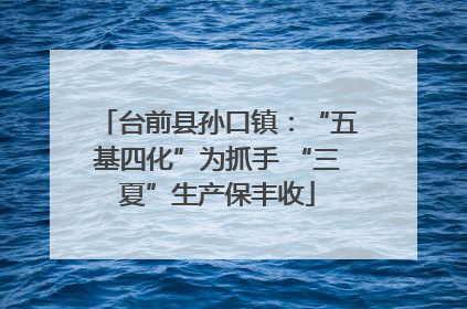 台前县孙口镇：“五基四化”为抓手 “三夏”生产保丰收