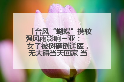 台风“蝴蝶”携较强风雨影响三亚：一女子被树砸倒送医，无大碍当天回家 当地已紧急清障