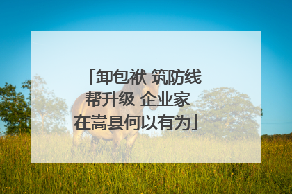 卸包袱 筑防线 帮升级 企业家在嵩县何以有为