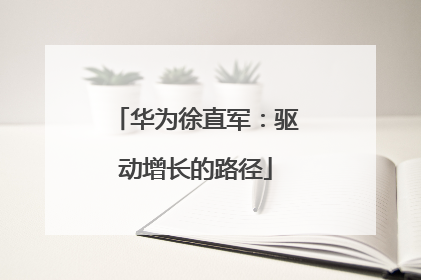 华为徐直军：驱动增长的路径