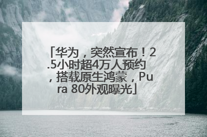 华为，突然宣布！2.5小时超4万人预约，搭载原生鸿蒙，Pura 80外观曝光
