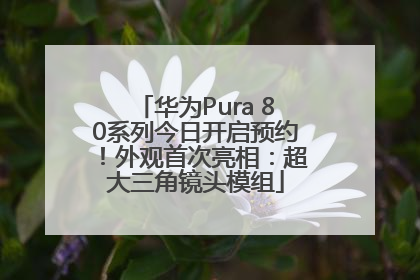 华为Pura 80系列今日开启预约！外观首次亮相：超大三角镜头模组
