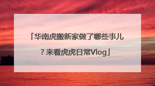 华南虎搬新家做了哪些事儿？来看虎虎日常Vlog