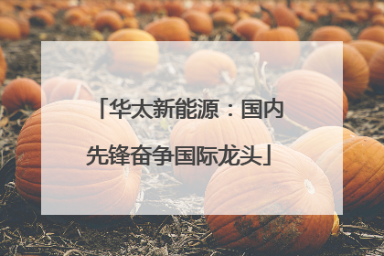 华太新能源：国内先锋奋争国际龙头