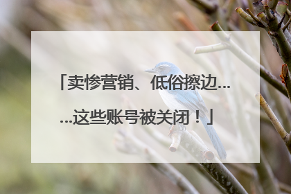 卖惨营销、低俗擦边……这些账号被关闭！