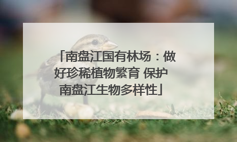 南盘江国有林场：做好珍稀植物繁育 保护南盘江生物多样性