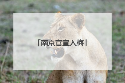 南京官宣入梅