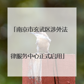 南京市玄武区涉外法律服务中心正式启用