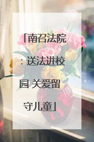 南召法院：送法进校园 关爱留守儿童