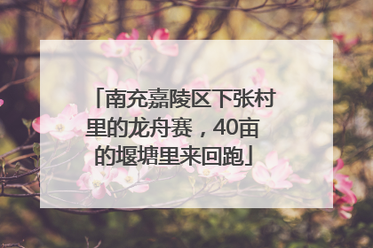 南充嘉陵区下张村里的龙舟赛，40亩的堰塘里来回跑