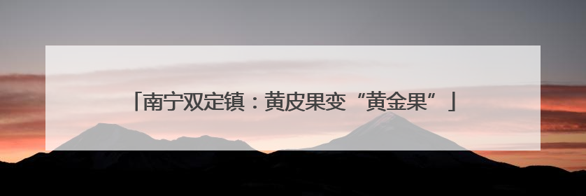 南宁双定镇：黄皮果变“黄金果”