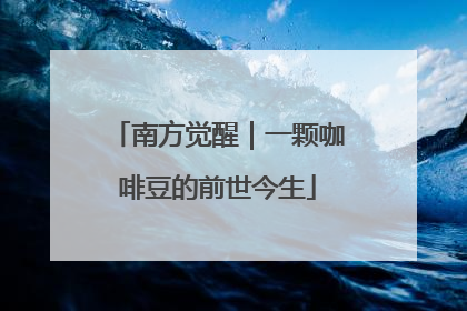 南方觉醒｜一颗咖啡豆的前世今生