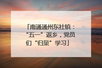 南通通州东社镇：“五一”返乡，党员们“归巢”学习