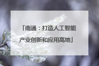 南通：打造人工智能产业创新和应用高地