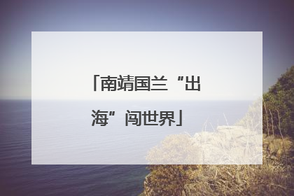 南靖国兰“出海”闯世界