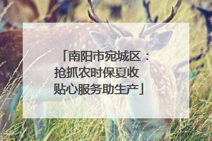 南阳市宛城区：抢抓农时保夏收 贴心服务助生产