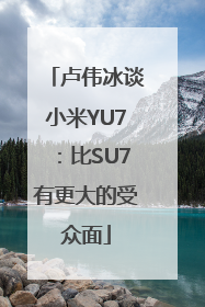卢伟冰谈小米YU7：比SU7有更大的受众面