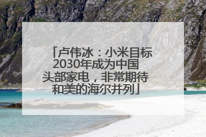 卢伟冰：小米目标2030年成为中国头部家电，非常期待和美的海尔并列