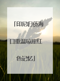 印尼归侨海口重温琼崖红色记忆