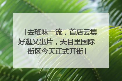 去班味一流，首店云集好逛又出片，天目里国际街区今天正式开街
