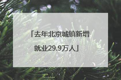 去年北京城镇新增就业29.9万人