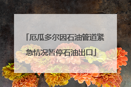 厄瓜多尔因石油管道紧急情况暂停石油出口
