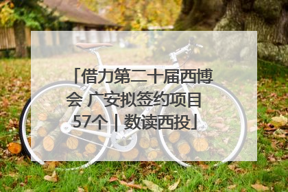 借力第二十届西博会 广安拟签约项目57个｜数读西投