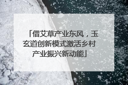 借艾草产业东风，玉玄道创新模式激活乡村产业振兴新动能
