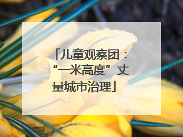 儿童观察团：“一米高度”丈量城市治理