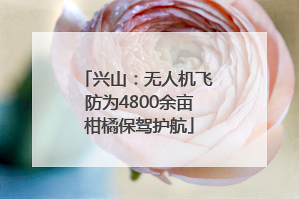 兴山：无人机飞防为4800余亩柑橘保驾护航