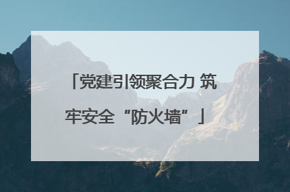 党建引领聚合力 筑牢安全“防火墙”