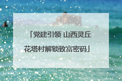 党建引领 山西灵丘花塔村解锁致富密码