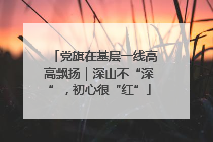 党旗在基层一线高高飘扬｜深山不“深”，初心很“红”